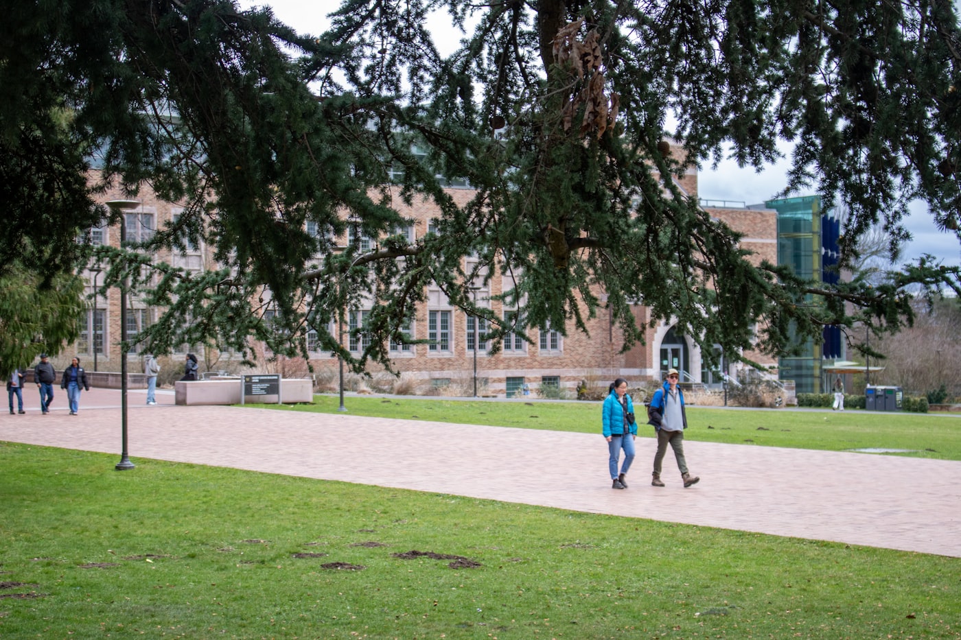 Université